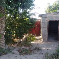 خانه فروشی|فروش خانه و ویلا|سعدآباد, |دیوار