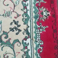 قالی قرمز|فرش|شیروان (خراسان), |دیوار