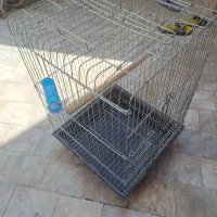 قفس پرنده