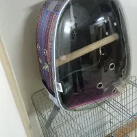 کیف حمل پرنده