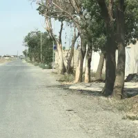 ۳۵۰متر جاده سهیلیه زعفرانیه اطلسی