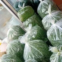 سبزی خرد شده  قرمه ، کوکو ، آش ، پلو ، سوپ|خوردنی و آشامیدنی|اسلام‌شهر, شهرک محمدیه|دیوار