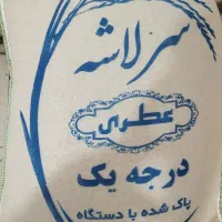 برنج نیم دانه طارم محلی|عمده‌فروشی|باغستان, |دیوار