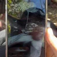 اپل iPhone 16 Pro Max با حافظهٔ ۲۵۶ گیگابایت|موبایل|سنقر, |دیوار