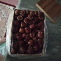 خرمای برهی|خوردنی و آشامیدنی|برازجان, |دیوار