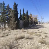 زمین هفت باغ|فروش زمین و ملک کلنگی|ماهان, |دیوار