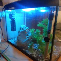 اکواریوم شرکتی