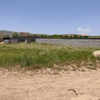 زمین دو نبش ۵۰۰ متری در روستای زیبای زین‌آباد امند|فروش خانه و ویلا|صوفیان, |دیوار