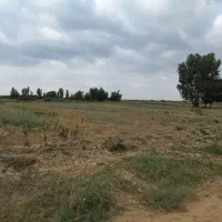 6هزار متر تورنگ تپه|فروش زمین و ملک کلنگی|سرخنکلاته, |دیوار