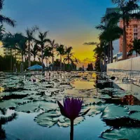 باریستا-بارتندر|استخدام خدمات فروشگاه و رستوران|کیش, |دیوار