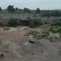 سرایداری ساعت تماس ۱۰ تا ۱۲ و بعد ازظهر ساعت ۵ تا۷|استخدام سرایداری و نظافت|گرگان, |دیوار