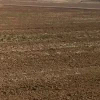 زمین کشاورزی قرچک ورامین چسبیده به شهرک صنعتی قرچک|فروش زمین و ملک کلنگی|قرچک, ولی آباد|دیوار