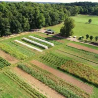 زمین باغ1000متری