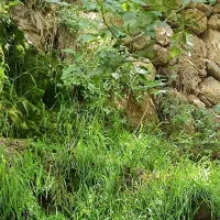 خانه-روستایی