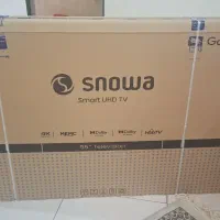 کارتن تلویزیون ۵۵ اینچ