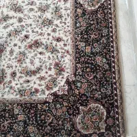 یک تخته فرش ماشینی محتشم کاشان ۶ متری