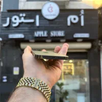 فروش ویژه iPhone 13 ProMax (تک سیمکارت)|موبایل|رشت, دیلمان|دیوار