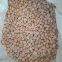 بذر|گل و گیاه طبیعی|الیگودرز, |دیوار