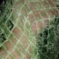 پرده گیپور در حد نو|پرده، رانر، رومیزی|بروجرد, |دیوار