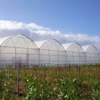 سازه های گلخانه ای صفر تا صد