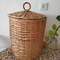 سبد حصیری شمالی