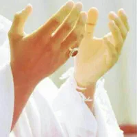 کبوتر گمشده چهارتا