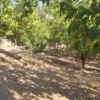 باغ ویلا فروشی|فروش زمین و ملک کلنگی|پردیس, فاز ۴|دیوار