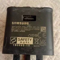 مرغ مینا|پرنده|یزد, |دیوار