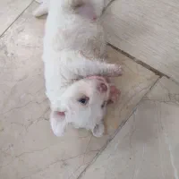 سلام چشمگیرباشه