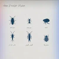 خاک دیاتومیت (ساس و سوسک کش غیره سمی) Food Grade|گل و گیاه طبیعی|تهران, باغ فیض|دیوار