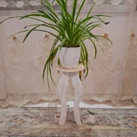 گل مصنوعی|گل مصنوعی|نورآباد, |دیوار