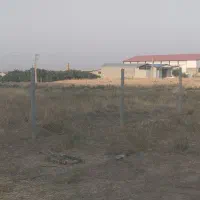 فنس کشی|خدمات باغبانی و درختکاری|همدان, |دیوار