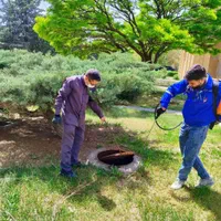 خدمات سمپاشی و مبارزه با حشرات موذی و موش ها