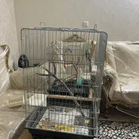 قفس بزرگ|لوازم جانبی حیوانات|تهران, اسفندیاری|دیوار