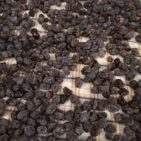 مویز لعل درجه یک ،مخصوص شب یلدا