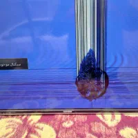 ال سی دی32 صنام