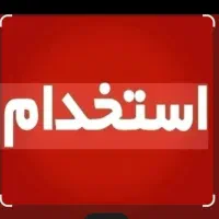 بازاریاب حرفه ای