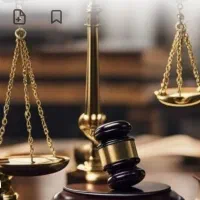 وکیل پایه یک دادگستری/ قاضی بازنشسته/استاد دانشگاه