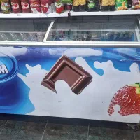 دو عدد یخچال بستنی۸۰۰ ۶۰۰ لیتری