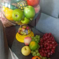 تنگ میوه مصنوعی