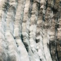 پادری