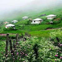 کارشناس پزشکی گیاهان و درختان