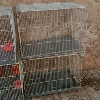 4 عدد قفس  بزرگ|لوازم جانبی حیوانات|گلبهار, شهر جدید گلبهار|دیوار