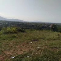 باغ و ویلا چای و پرتغال