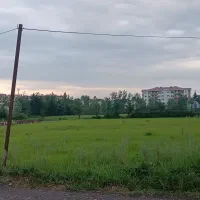فروش زمین مسکونی به مساحت ۱۵۰۸ متر مربع|فروش زمین و ملک کلنگی|رشت, لاکان شهر|دیوار