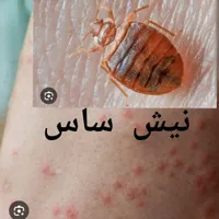 سمپاشی ساس سم پاشی سوسک در تمام نقاط تهران و حومه|خدمات نظافت|تهران, نارمک|دیوار