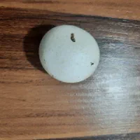 سنگ آسیاب الماس|جواهرات|صحنه, |دیوار