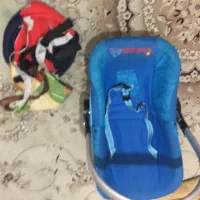 کریر نوزاد همراه تاب