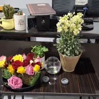 استخدام راننده خانم در آژانس بانو