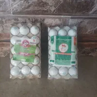جذب نماینده پخش و فروش تخم مرغ بسته بندی  «تنگاب»|استخدام بازاریابی و فروش|شیراز, هفت تنان|دیوار